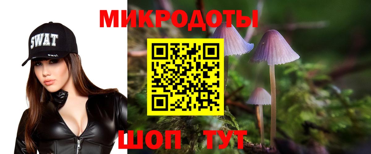 Псилоцибиновые грибы прущие грибы  Псилоцибиновые грибы ЛСД  Вход с VPN  Новомосковск 